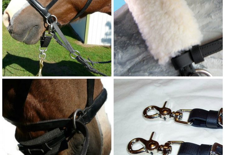 Bitless Bridle Accessory Package
