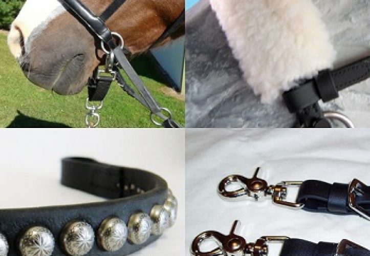 Bridle Accessories